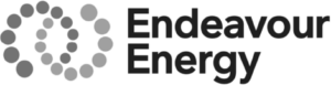 endeavour
