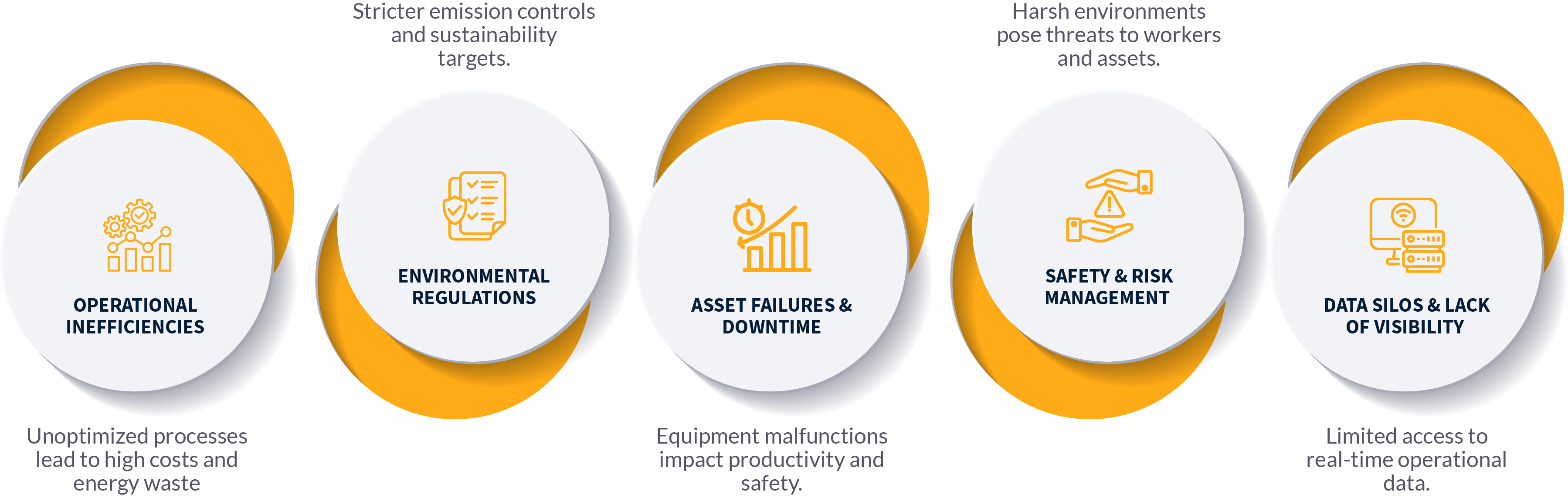 Asset 5